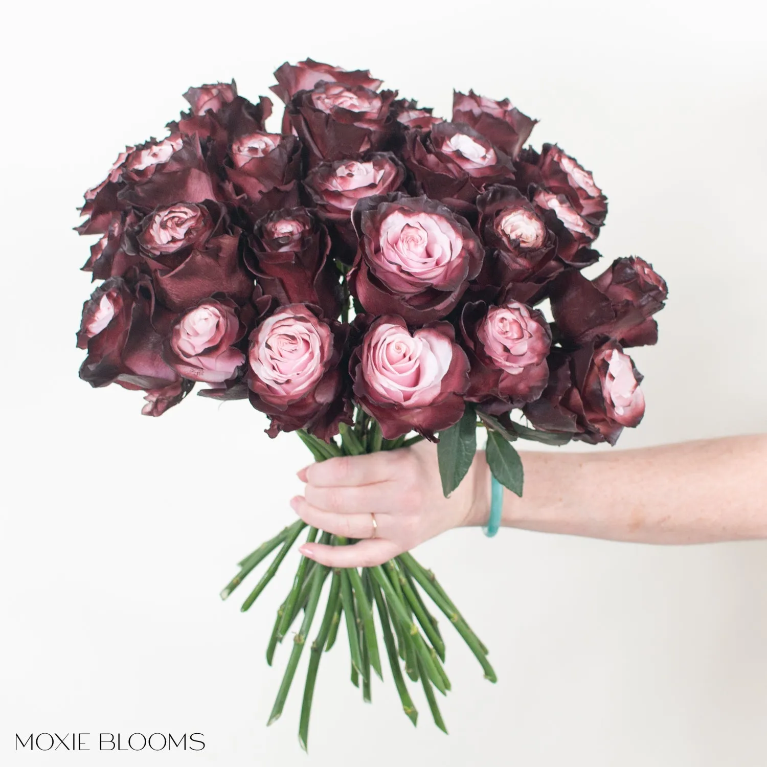 Burgundy Blush Novelty Roses