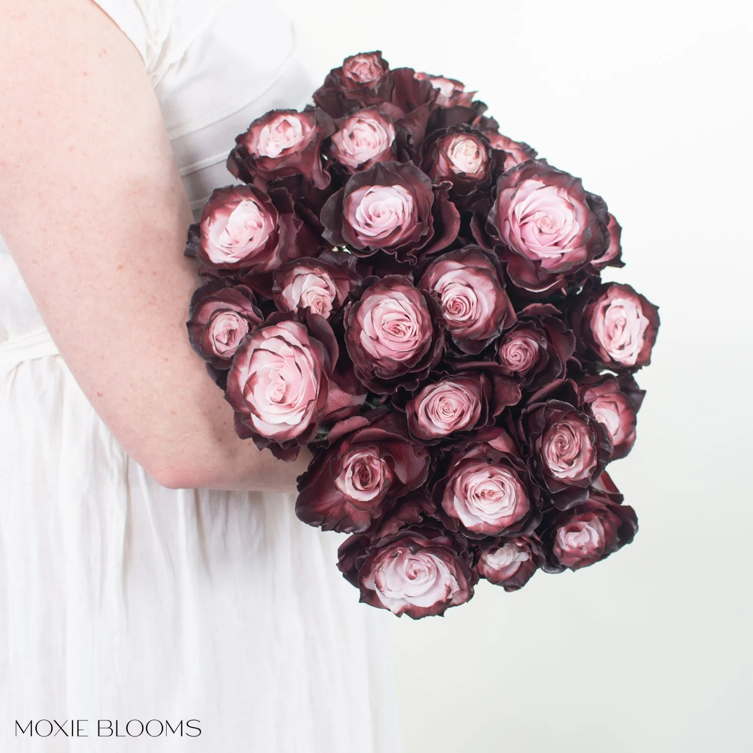 Burgundy Blush Novelty Roses